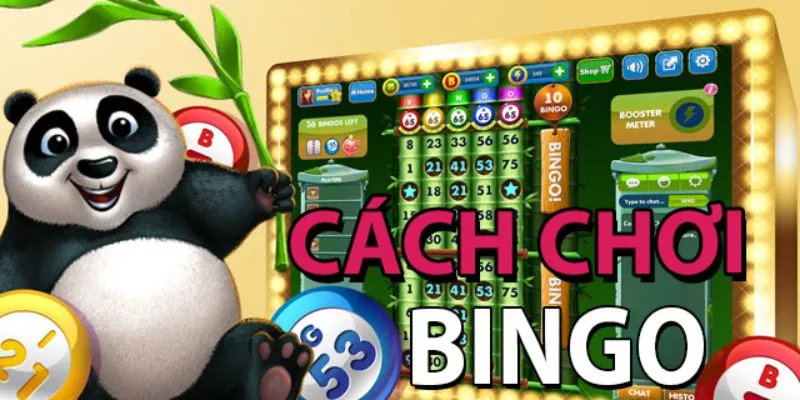 Tìm hiểu cách chơi bingo online nhanh nhất